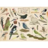 Puzzle - Les Oiseaux du Jardin - 100 pièces