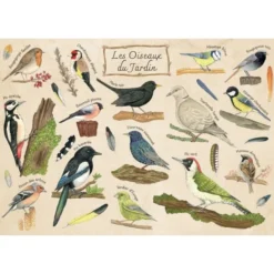 Puzzle - Les Oiseaux du Jardin - 100 pièces