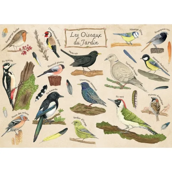 Puzzle - Les Oiseaux du Jardin - 100 pièces