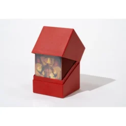 Return To Earth - Boulder 100+ Deck Case - Rouge