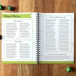Roll & Play: The Game Master’s Fantasy Toolkit