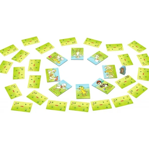 Ronde des Oies