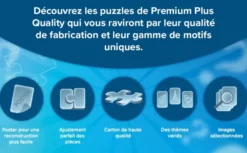 Secret Puzzle: Aurora - 1000 pièces