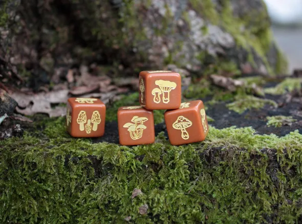 Set de 4 D6 - Champignons