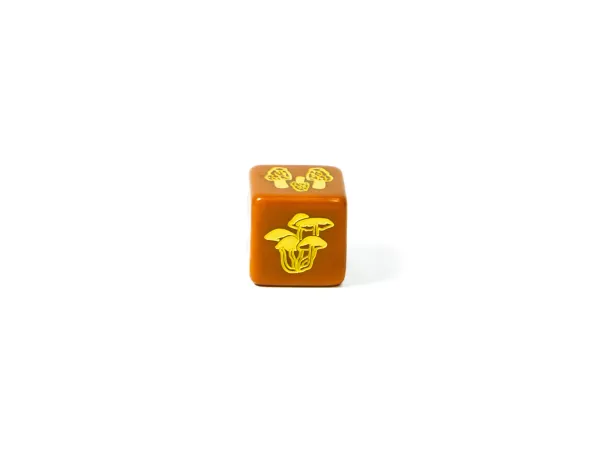 Set de 4 D6 - Champignons