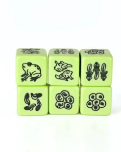 Set de 4 D6 – Cycle de vie de la grenouille
