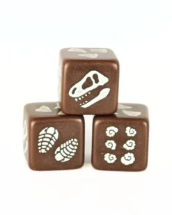 Set de 4 D6 – Fossile de dinosaure