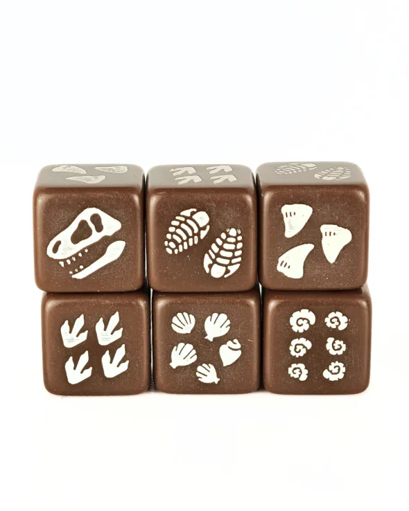 Set de 4 D6 – Fossile de dinosaure