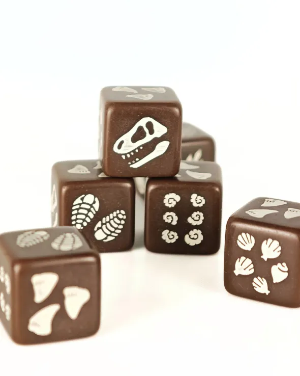Set de 4 D6 – Fossile de dinosaure