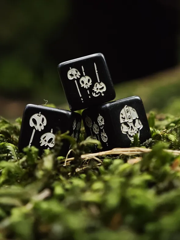 Set de 4 D6 – Guerriers-Squelettes