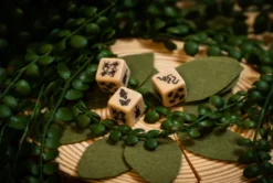 Set de 4 D6 - Insecte