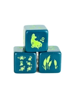 Set de 4 D6 – Marais