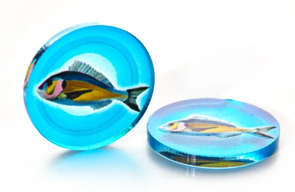 Set de Pions Poland Games - Wingspan