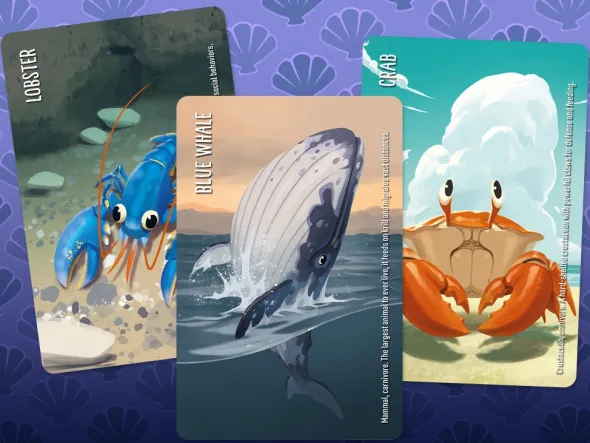Similo - Aquatic Animals