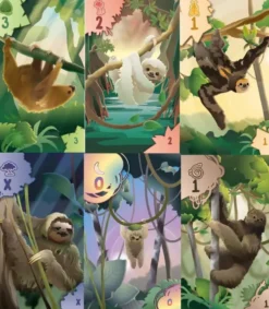 Surplus of Sloths