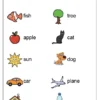 Tam Tam- English