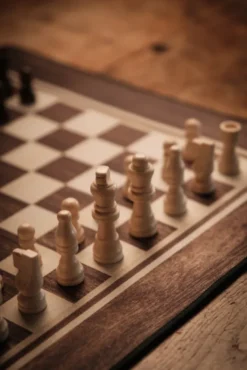 Tapis d'Echecs de 40 cm et ses Pions