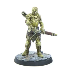 The Elder Scrolls: Call to Arms - Thalmor Patrol