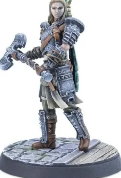 The Elder Scrolls: Call to Arms - Adventurer Follower