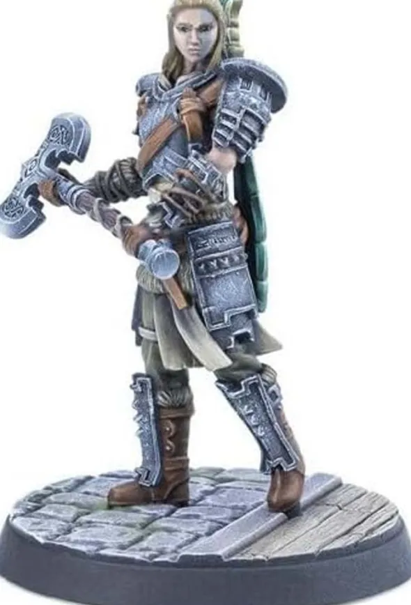 The Elder Scrolls: Call to Arms - Adventurer Follower