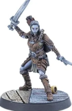 The Elder Scrolls: Call to Arms - Adventurer Follower