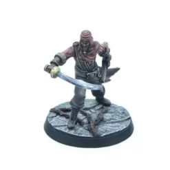 The Elder Scrolls: Call to Arms - Council of the Dark Brotherh