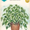 Verdant
