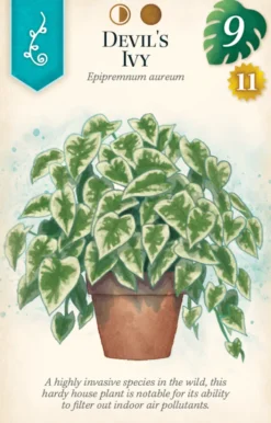 Verdant