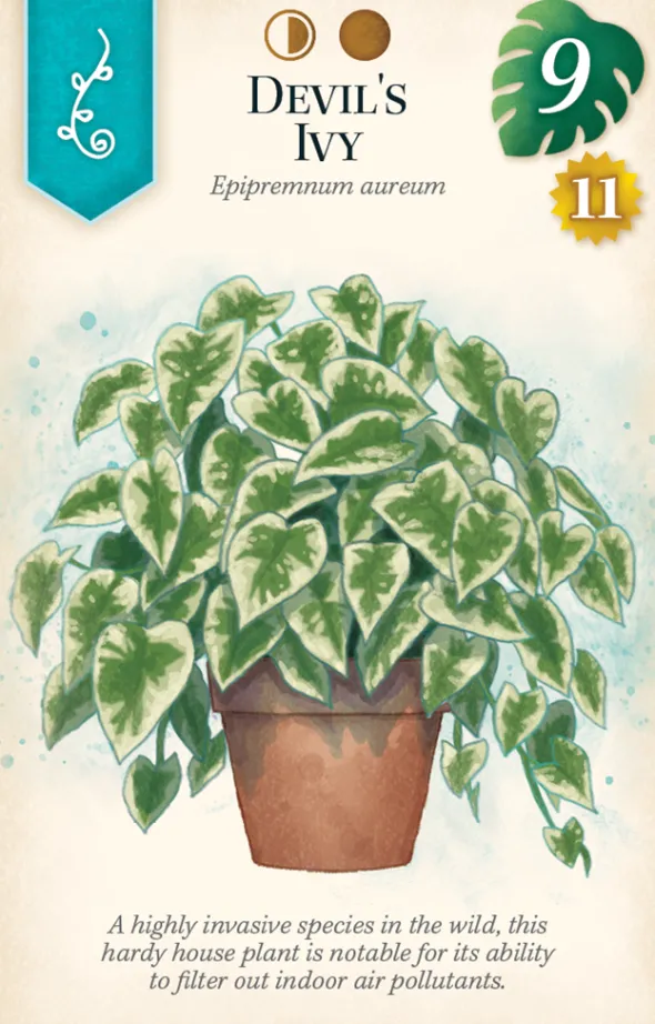 Verdant