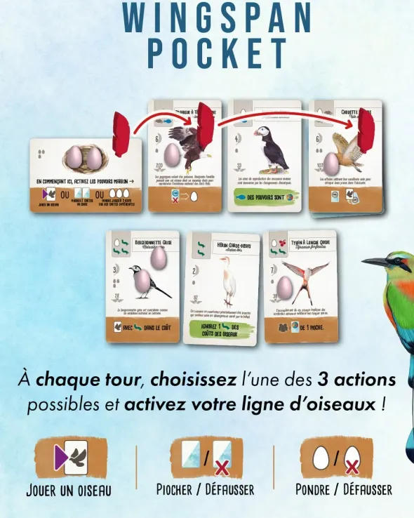 Wingspan Pocket