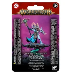 W40K / Age of Sigmar : Choas Deamons - Tzeentch - Tzaangor Shaman