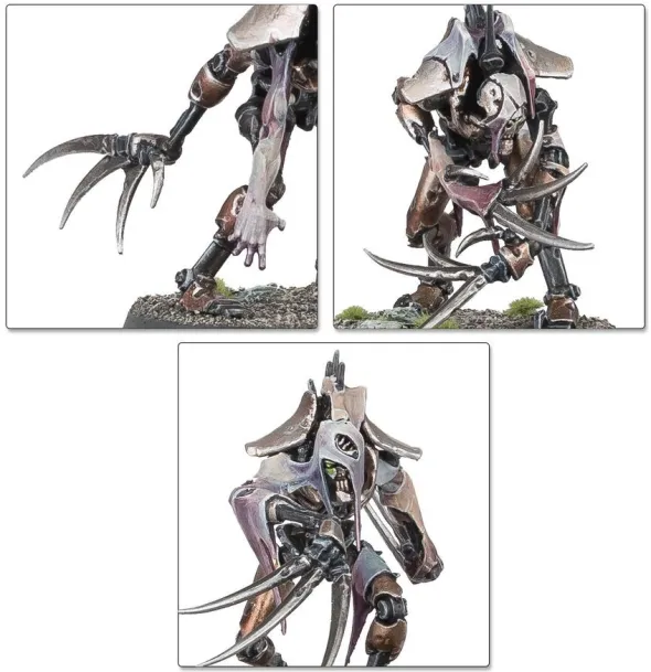 W40k - Bataillon - Ost Nécron