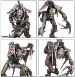 W40k - Bataillon - Ost Nécron