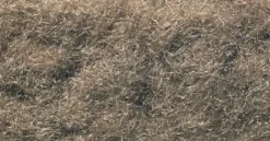 Woodland Scenics - Herbe Statique en Shaker - Burnt Grass