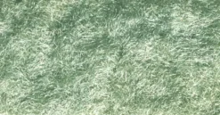 Woodland Scenics - Herbe Statique en Shaker - Light Green