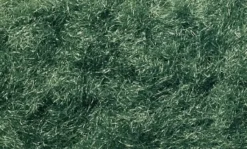 Woodland Scenics - Herbe Statique en Shaker - Dark Green