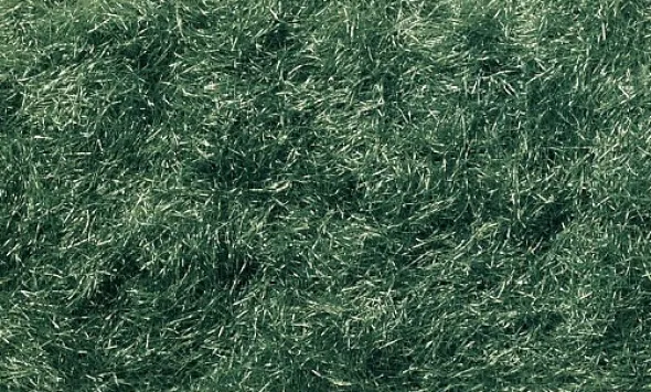 Woodland Scenics - Herbe Statique en Shaker - Dark Green